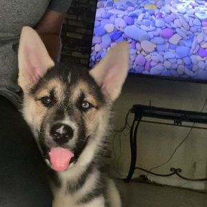 Meet your Posher, Janelle